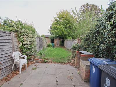 Picture 9